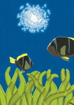 Greeting cards portfolio